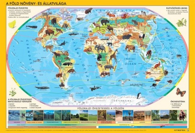 Könyökalátét, kétoldalas, STIEFEL "Világ állatai"