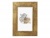 Képkeret, fa, 10x15 cm, "Goldbuch Ian", arany